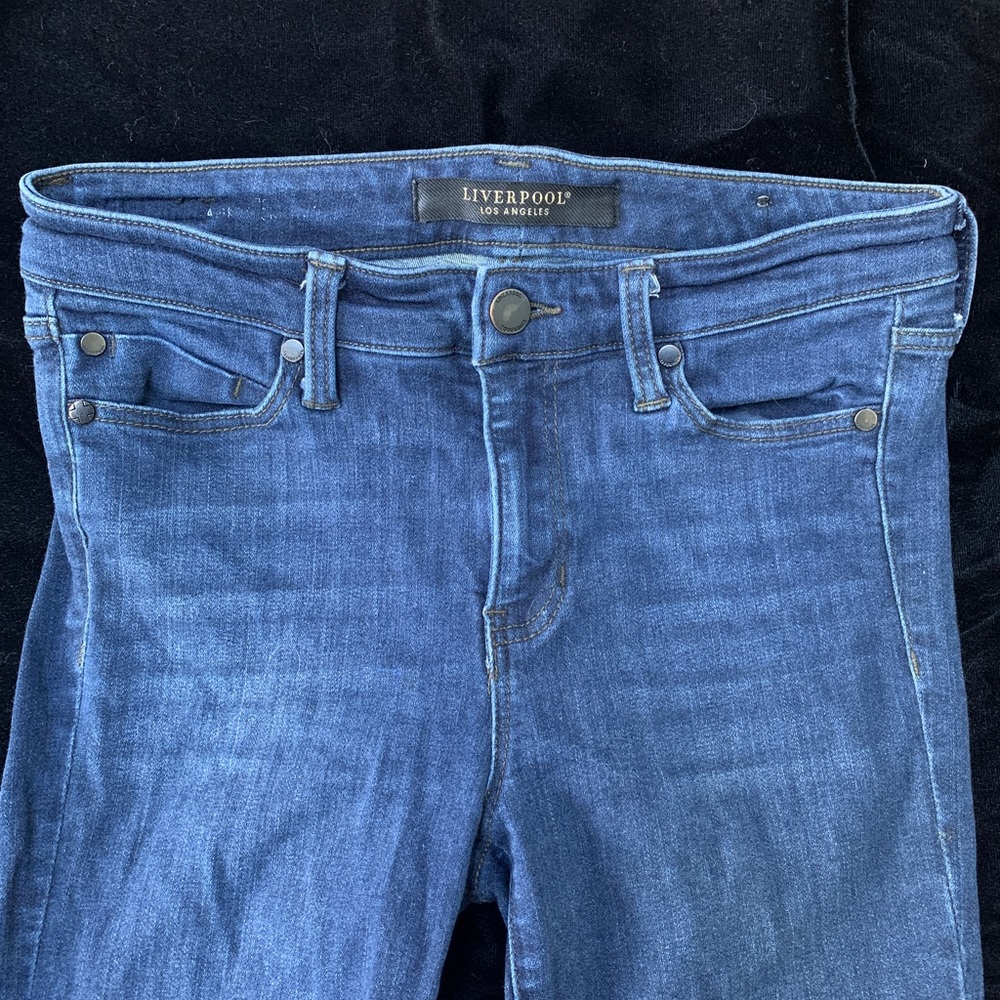 Liverpool Los Angeles Dark Blue Denim Slim/Skinny Jeans